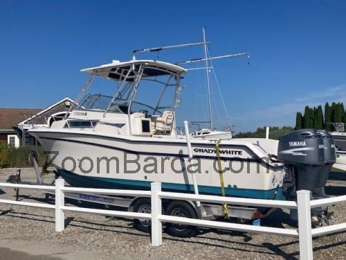 Grady White 268 Islander recensioni e scheda tecnica